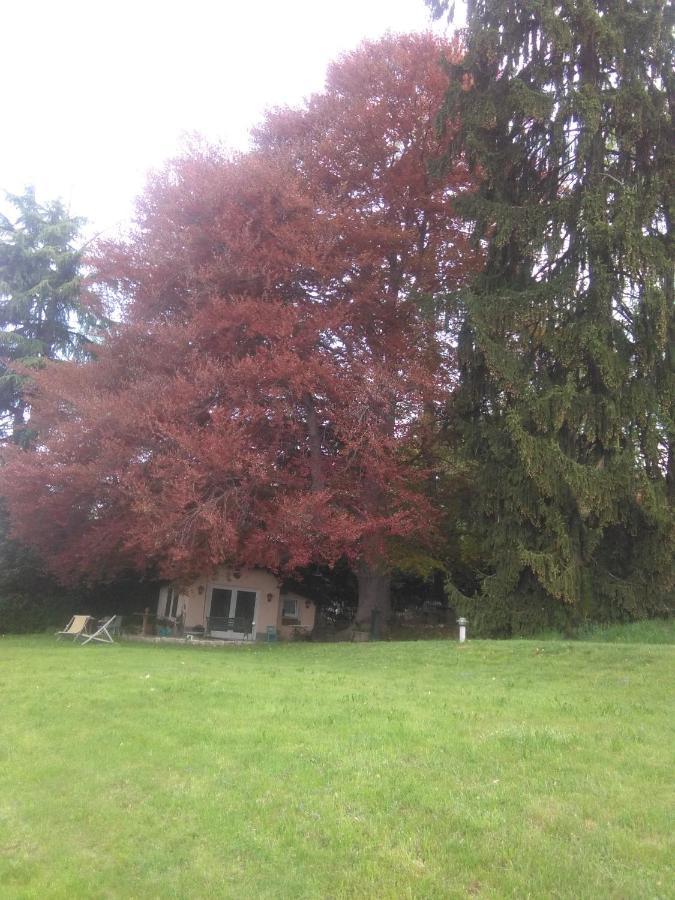 Cottage Sotto Il Faggio Centenario Ameno Exterior photo