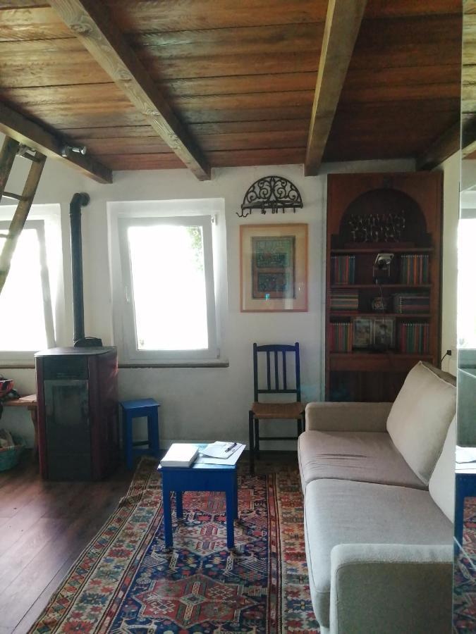 Cottage Sotto Il Faggio Centenario Ameno Exterior photo